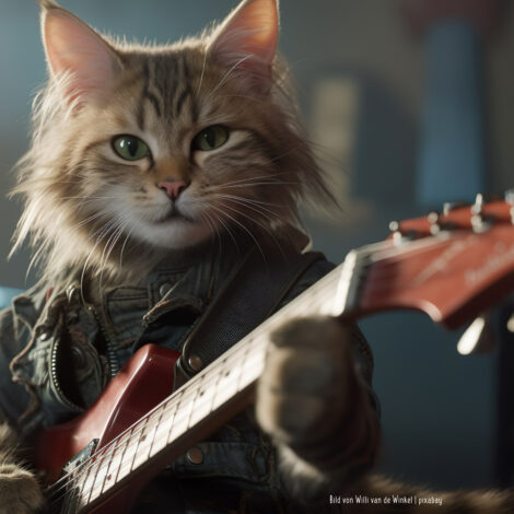 Katze-mit-E-Gitarre-von-Willi-van-de-Winkel-pixabay